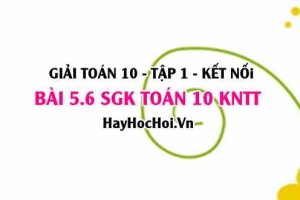 Bài 5.6 SGK Toán 10 tập 1 Kết nối tri thức